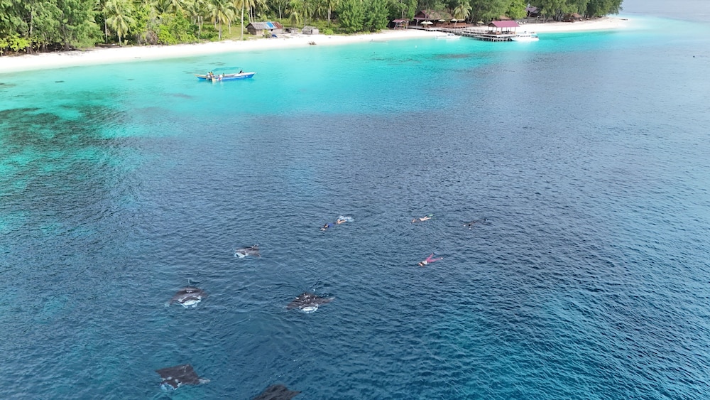 ANDAU DIVE RESORT - RAJA AMPAT