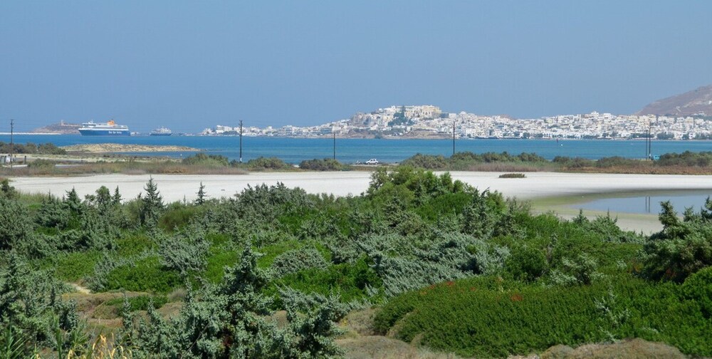 Fabulous Holiday Villa in Naxos Island