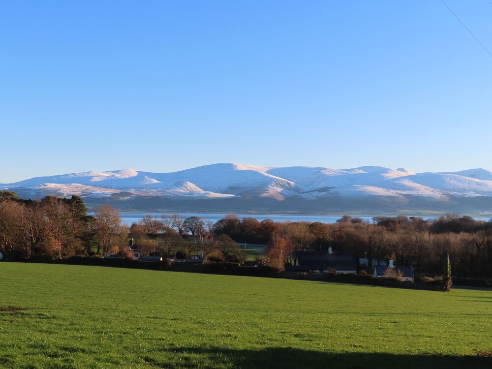 Plas Elyn