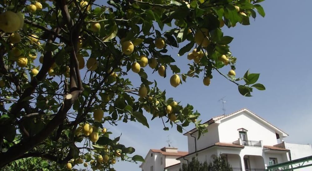 Residence Il Borgo degli Ulivi Resort