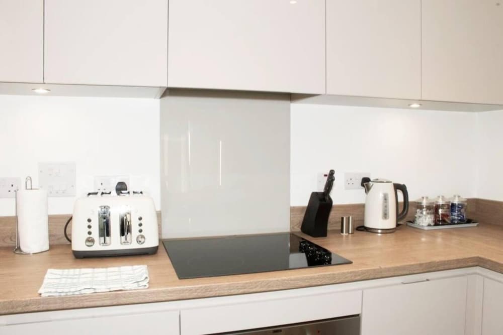 TMS Beautiful 2BR Apartment! Ensuite! Lakeside view 4