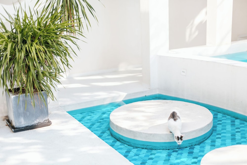 Shanghai Ruochu Designer Guesthouse-Near Shanghai Pudong Airport & Disneyland