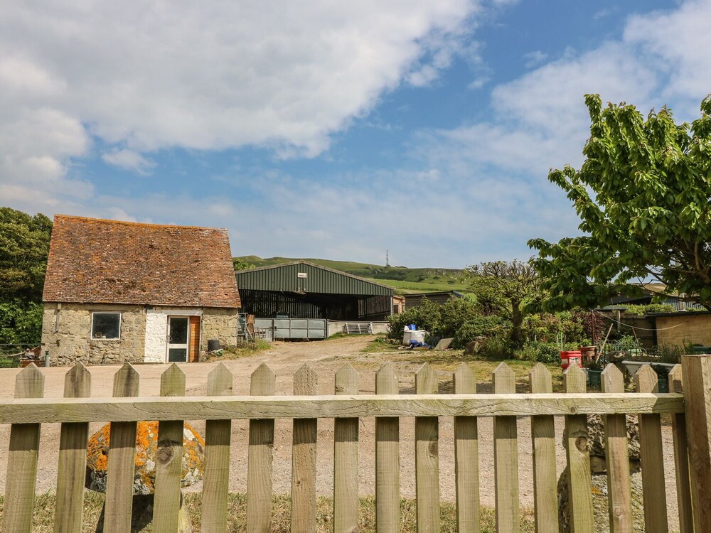 Photo 11