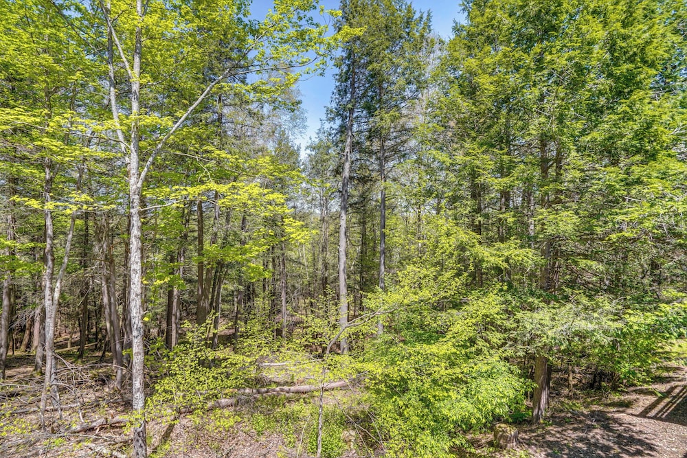 Ski, Hike & More: Year-round Gem in Windham