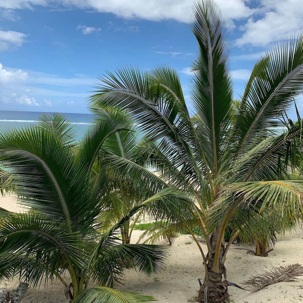 Rarotonga Villas