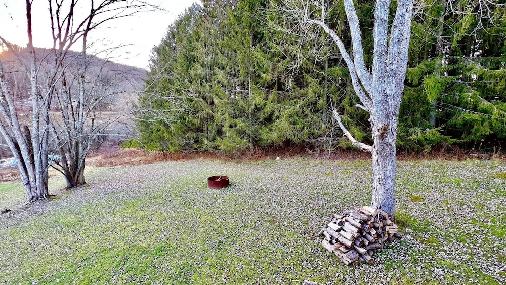 Photo 31