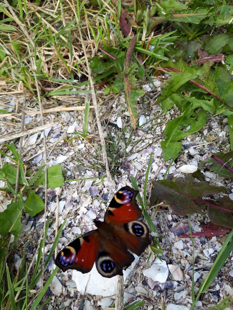 West Coast House BB - Property Image 7