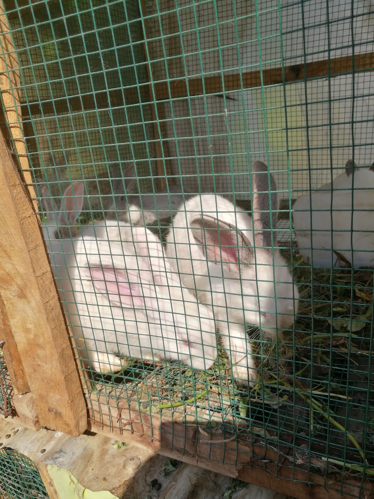 Photo 30
