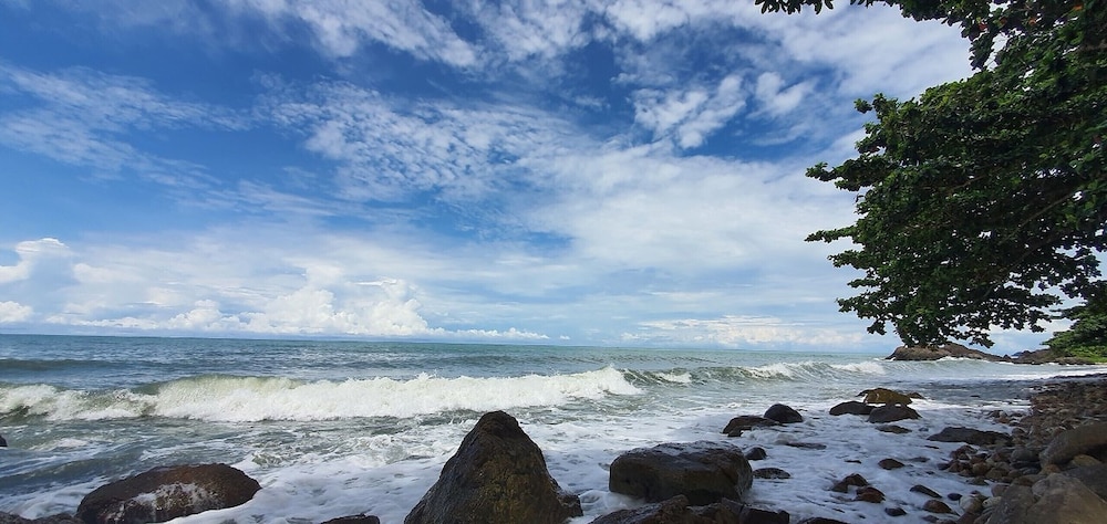 Photo 47
