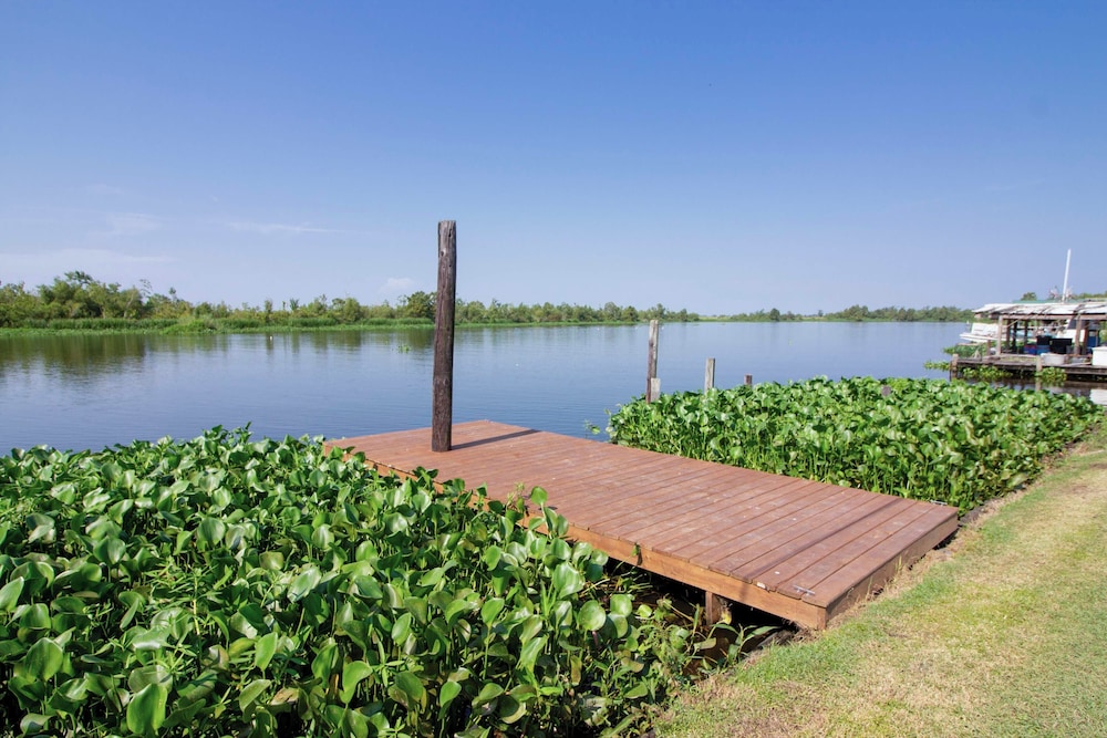 Private Dock: Des Allemands Cabin on the Bayou!