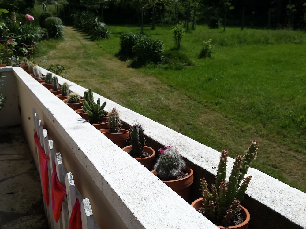 Photo 27