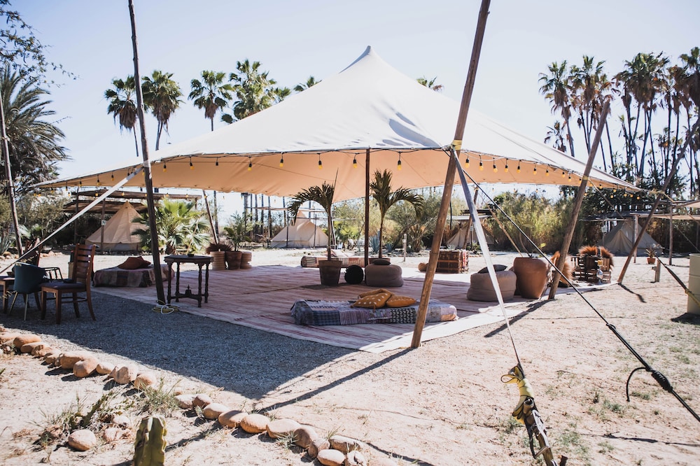Crania Reclaim Camp