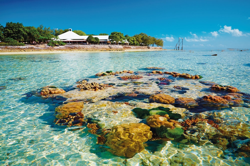 Heron Island Resort view 5