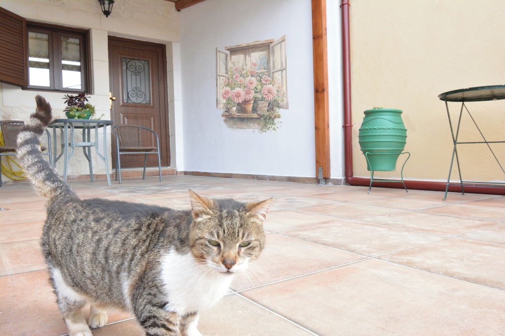 Gioma Stone House by Checkin photo 2