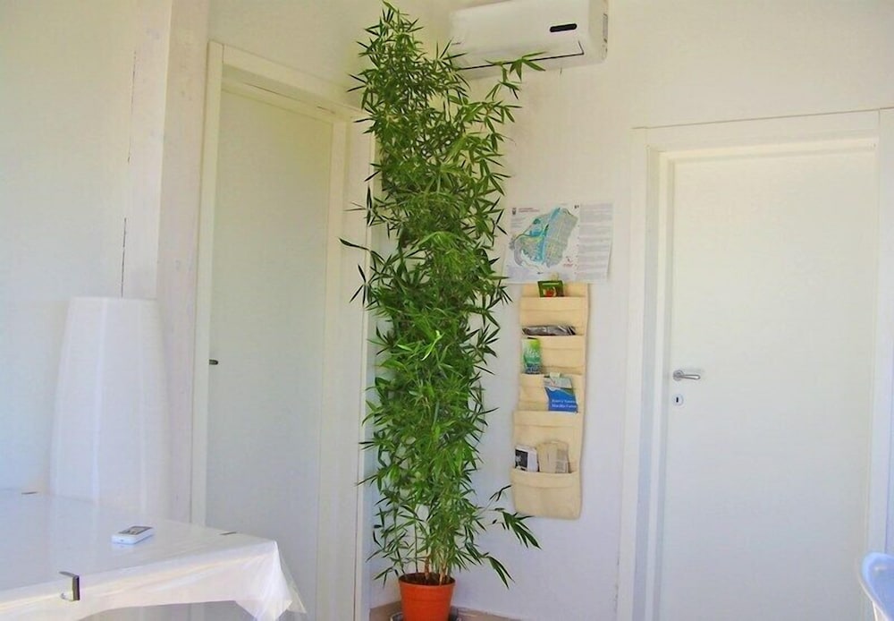 BuenaOnda B&B