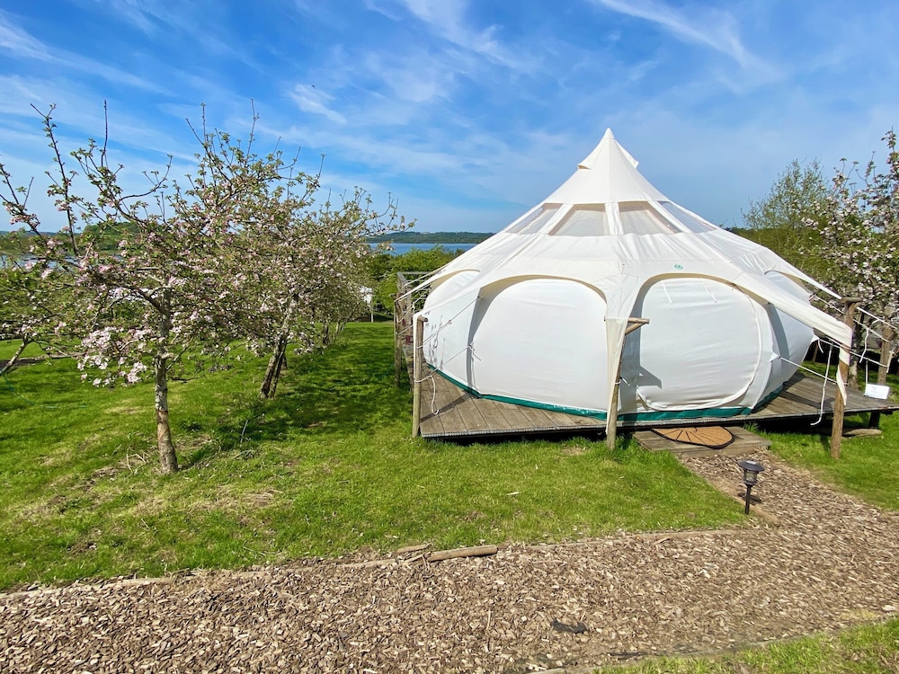 Stargazer Tent 1