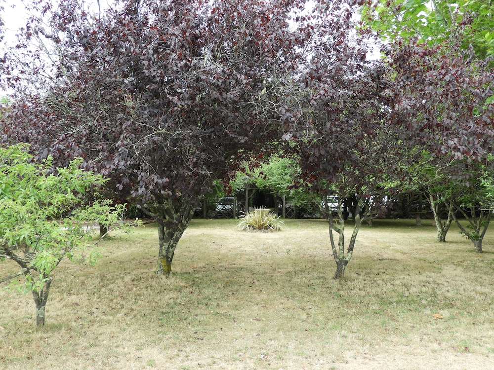 Photo 35