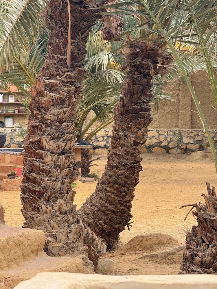 TATRABENT - Eco Friendly retreat in Siwa