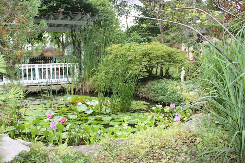 Carrousel Bed & Breakfast