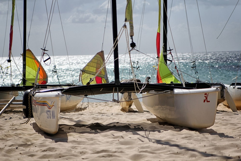 Hammamet Vacations - CALIMERA Delfino Beach Resort  Spa - All inclusive - Property Image 1