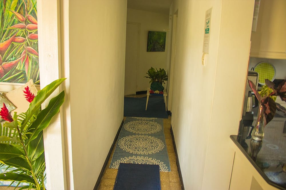 Beach Palm Villa, photo 63