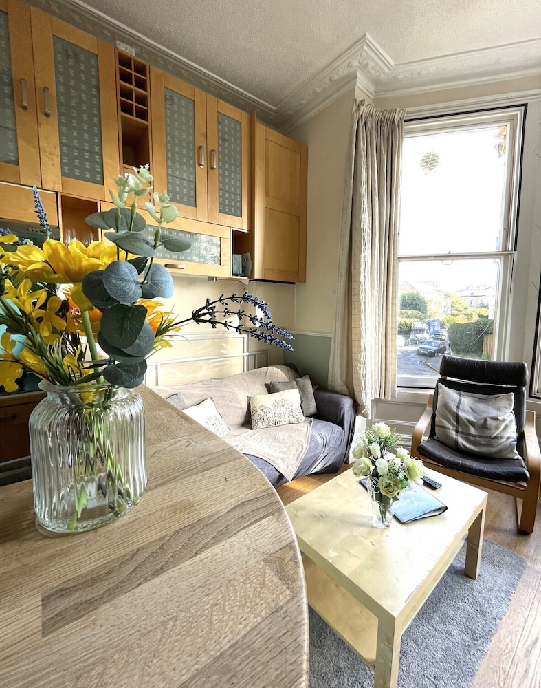 Lovely Victorian Apartment in Clifton Village view 2