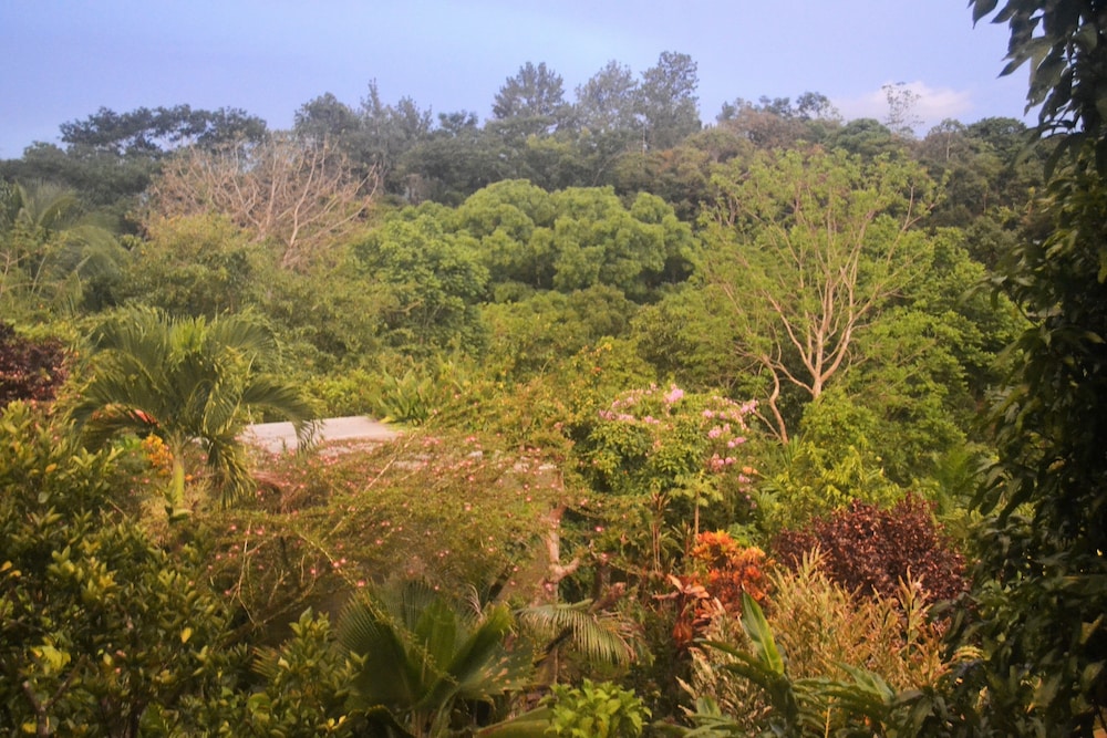 Eden Atenas