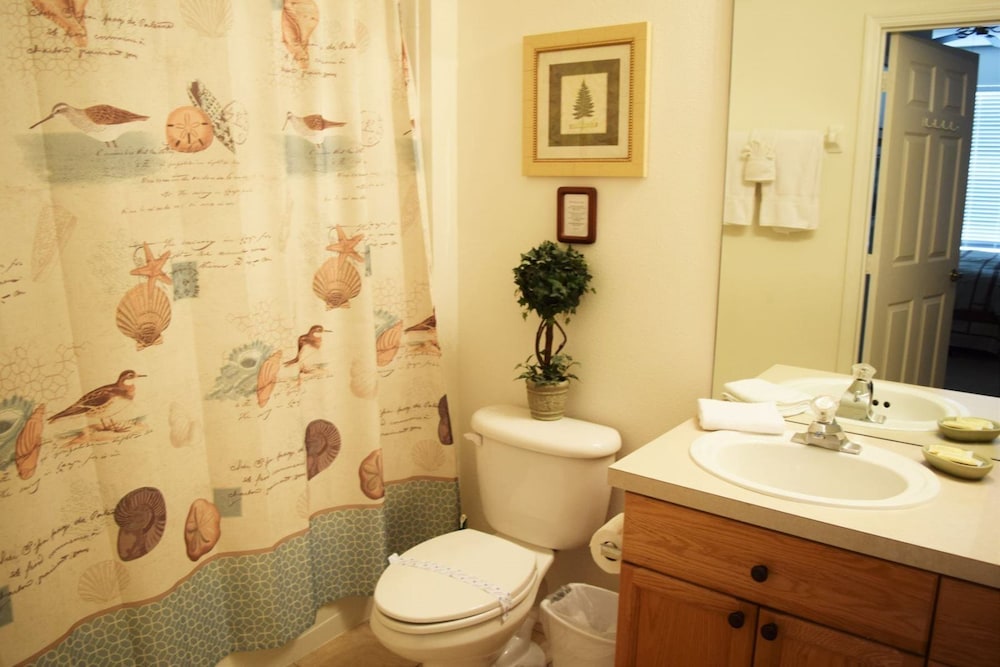 Windsor_palms_304n - Image 4