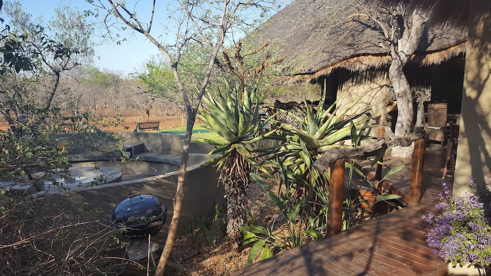 Call of the Wild Lodge