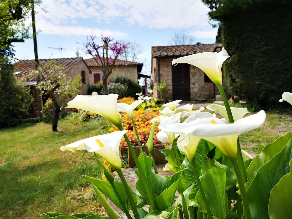 Agriturismo Grecinella photo 3