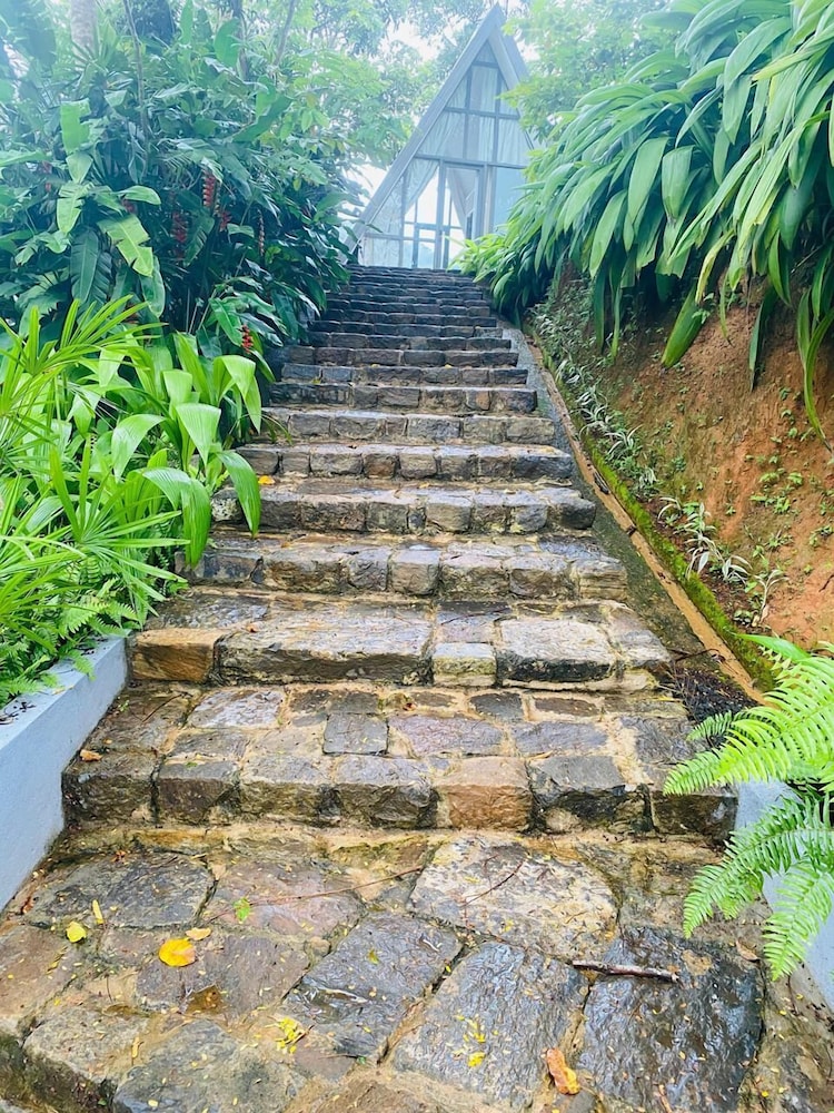 Rain Drops Wellness Villa Sinharaja