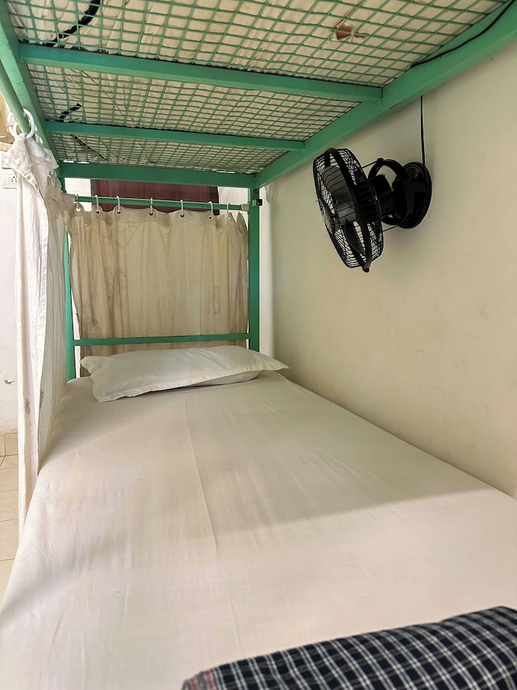 Molly's Hostel