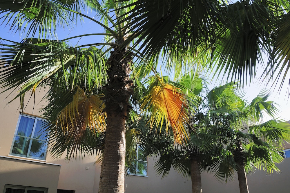 São Rafael Holidays