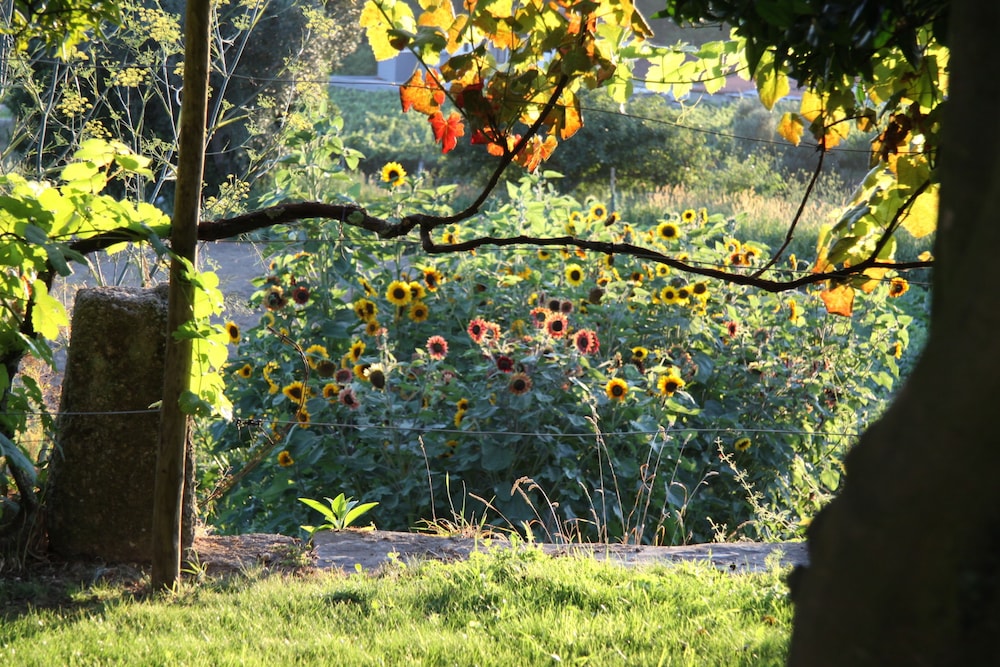 Casa Valxisto Country House