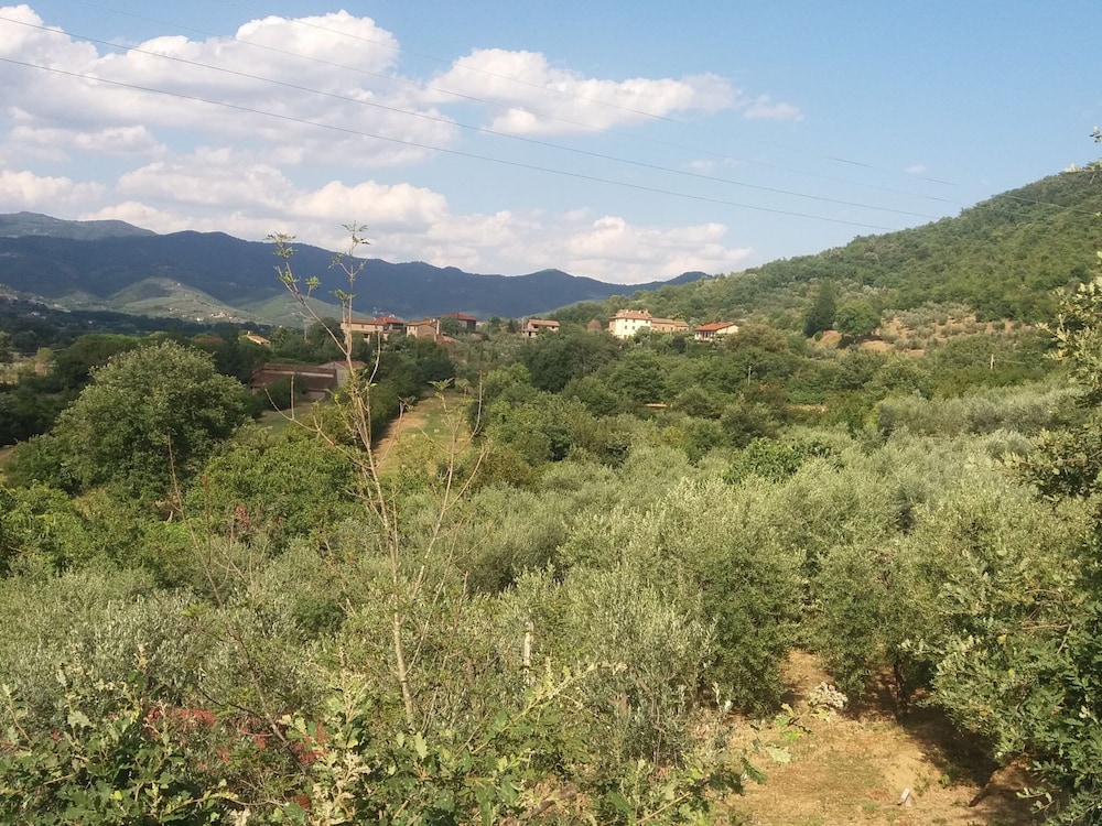 Tuscan Country House Near Castiglion Fiorentino view 4