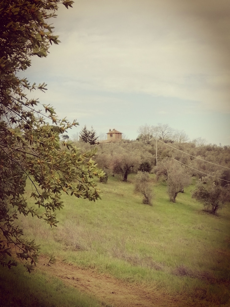 B&B Fattoria Camilla