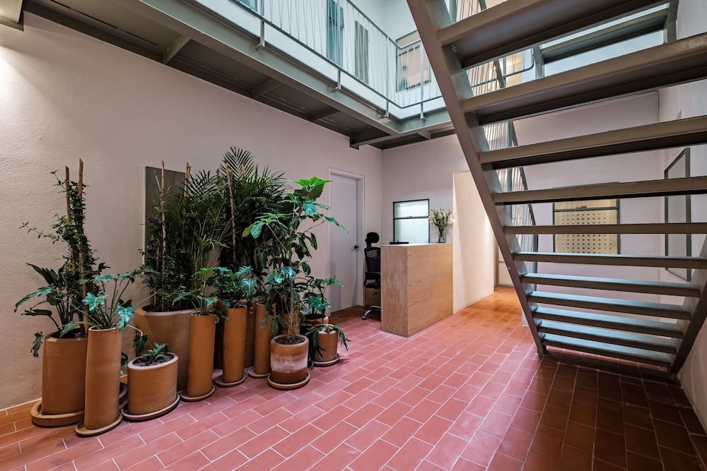 Nido Condesa view 5
