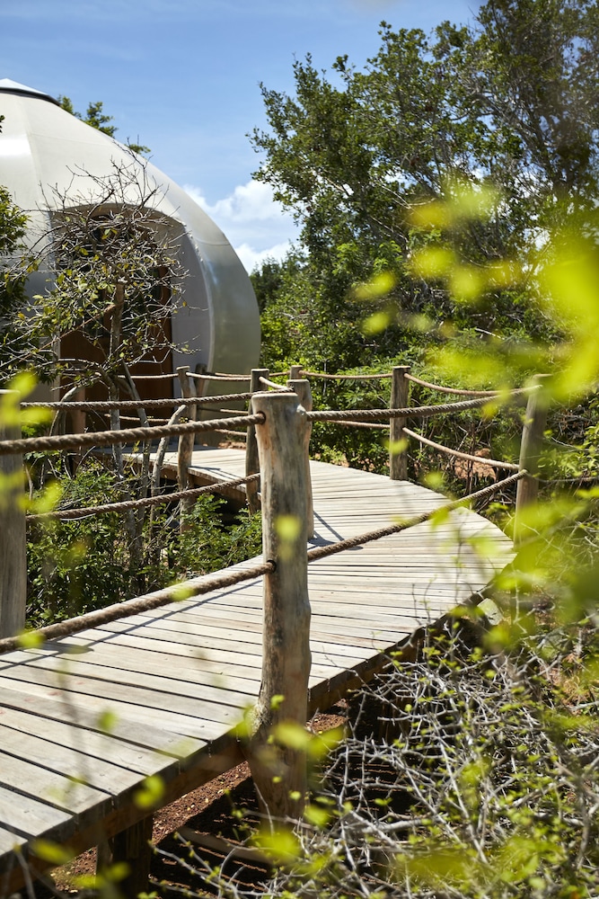 Wild Coast Tented Lodge - Relais and Chateaux - All Inclusive