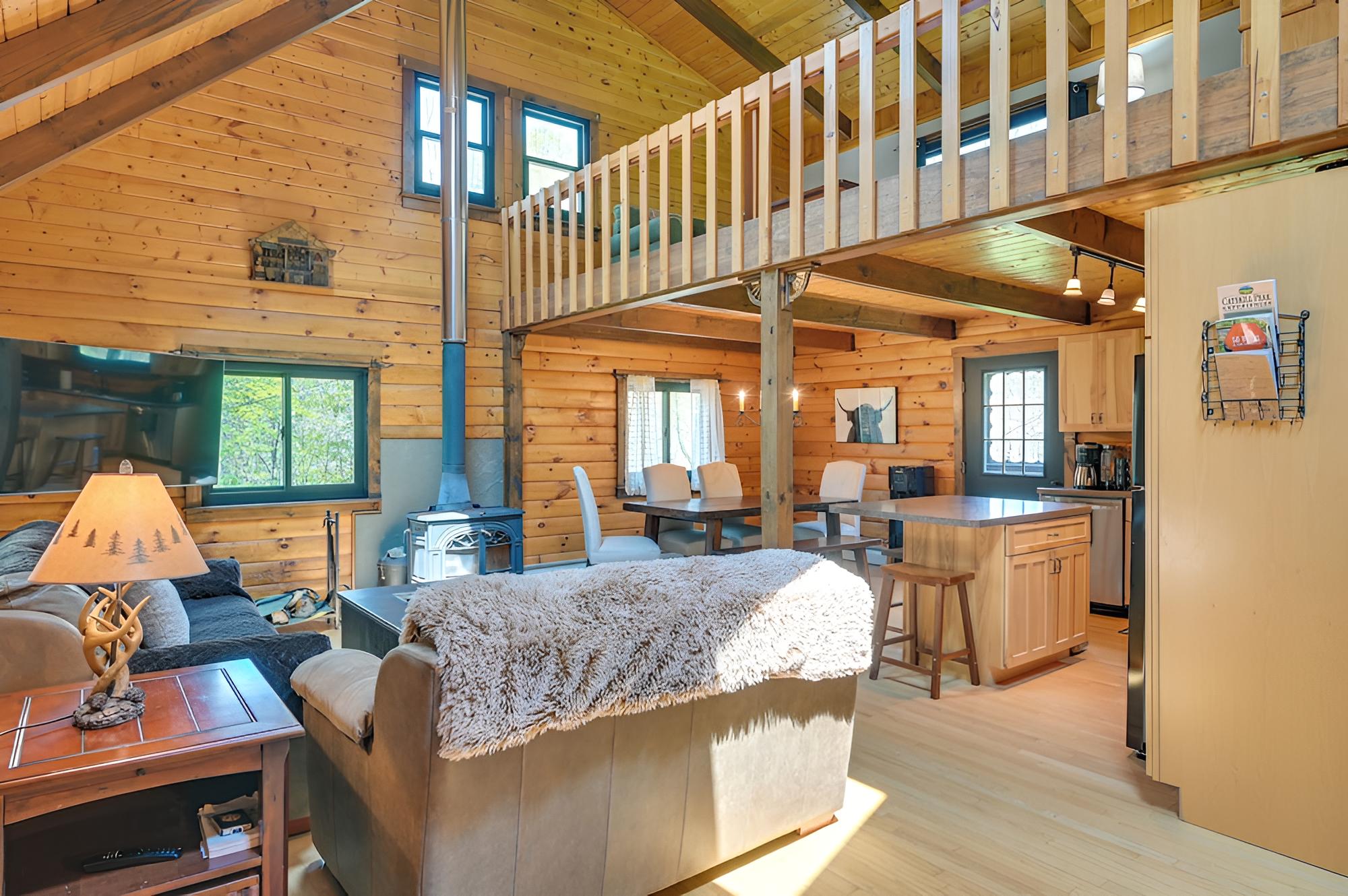 Log Cabin: 9 Mi to Plattekill & Belleayre Mtn view 3