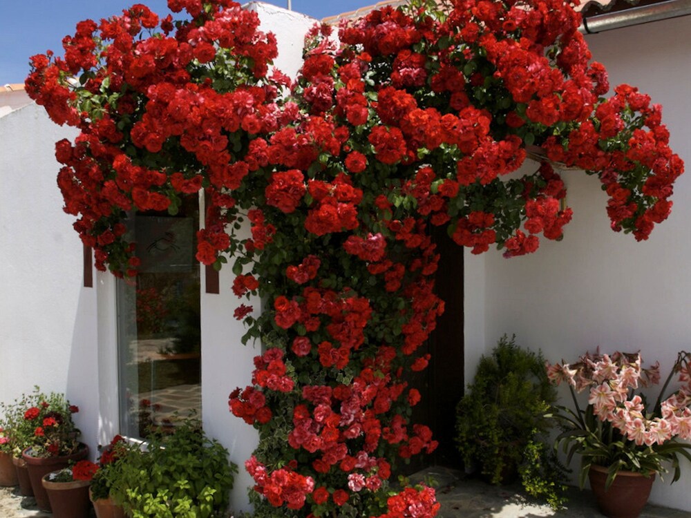 Cozy Cottage in Ronda With Swimming Pool photo 5