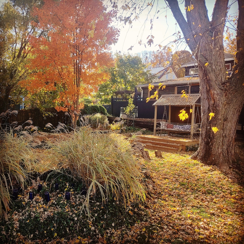 Lily Garden Bed and Breakfast