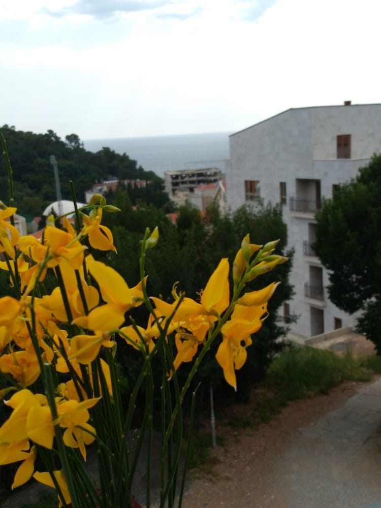 Apartments Jovanovic