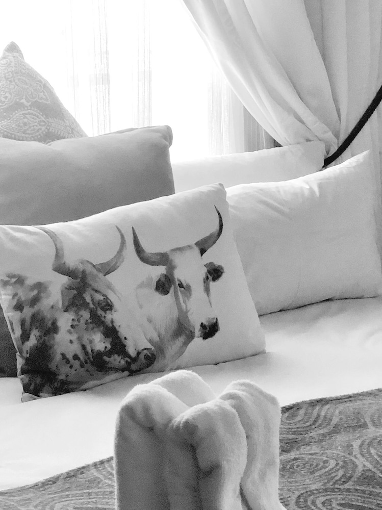 Elsje's Country Inn - Guesthouse