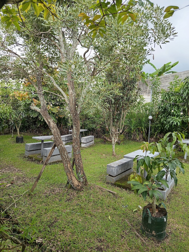 Tulip Guest House & Cafe