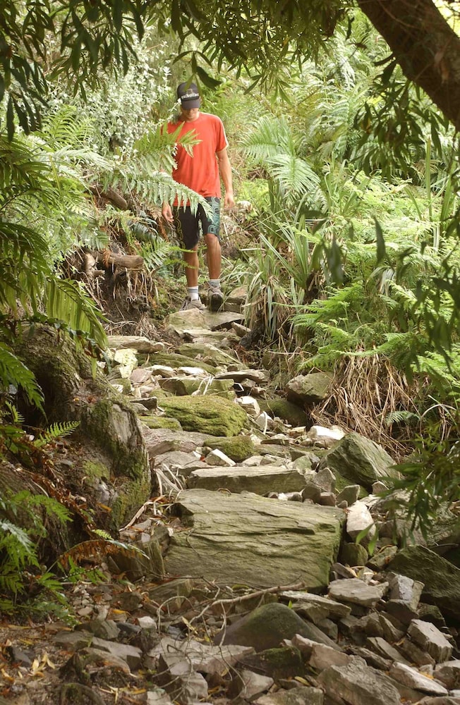 The Fernery Lodge and Spa