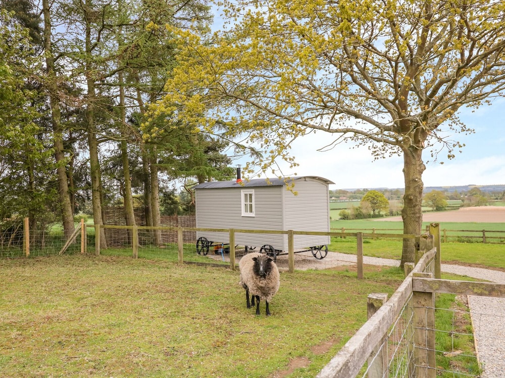 Bellwether view 5