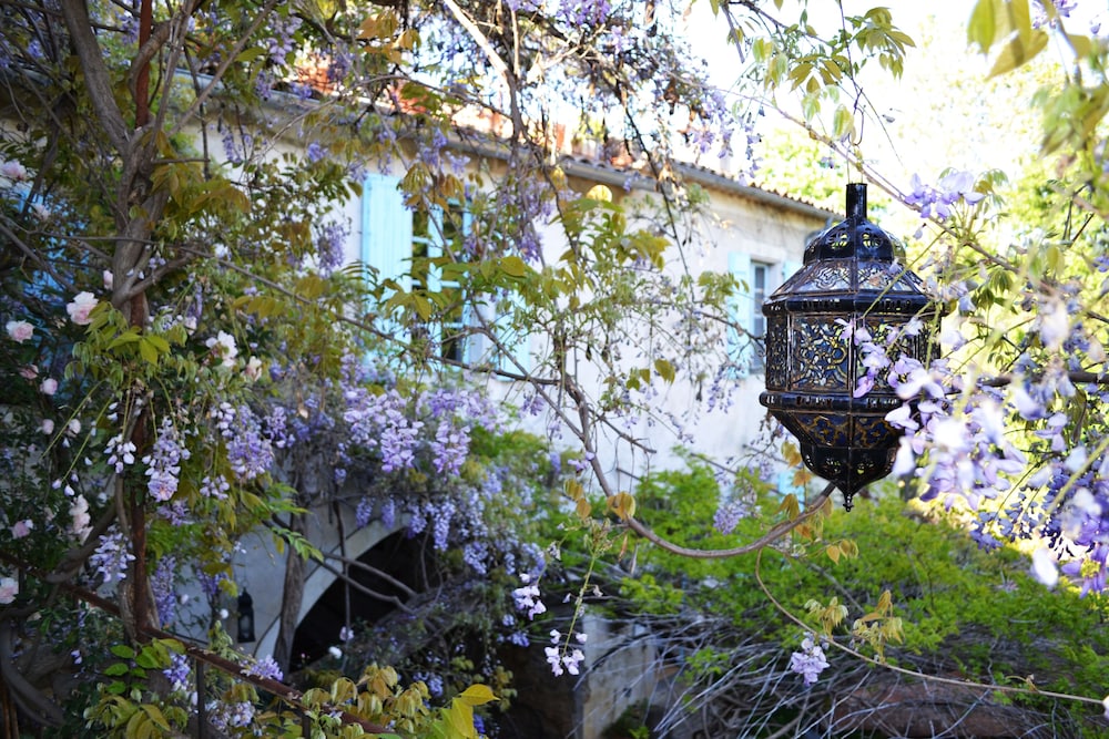La Vieille Maison - Chambre et Halte Gourmande