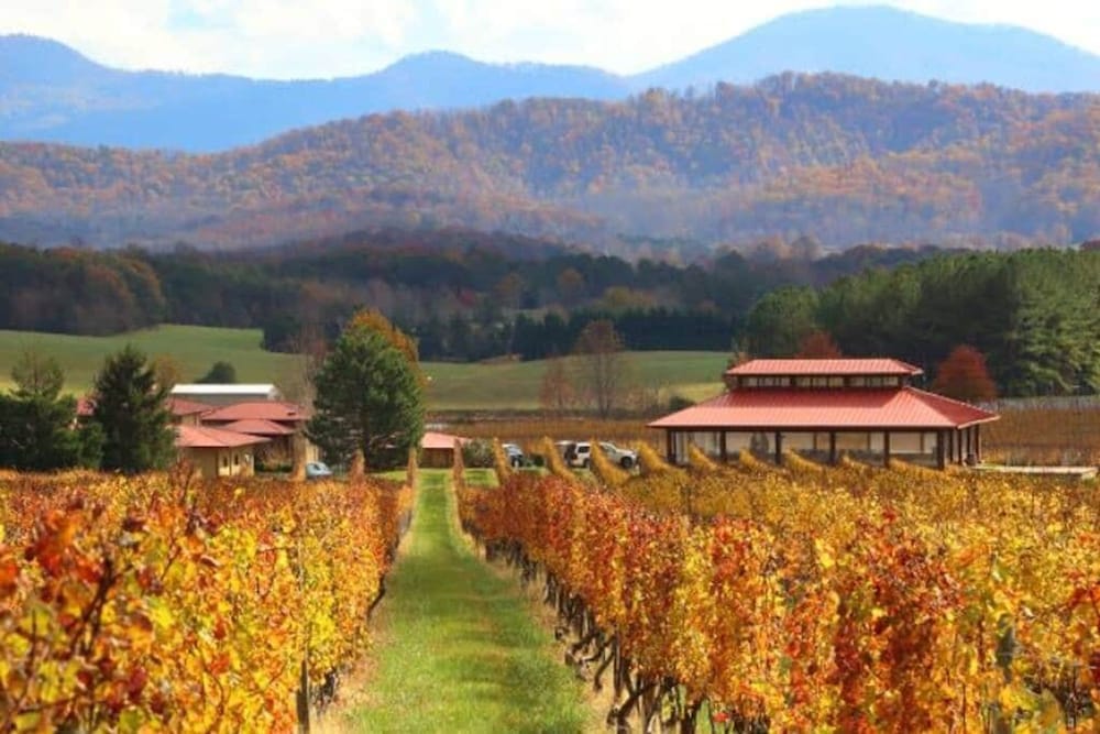 Time to Wine Down - Family Home