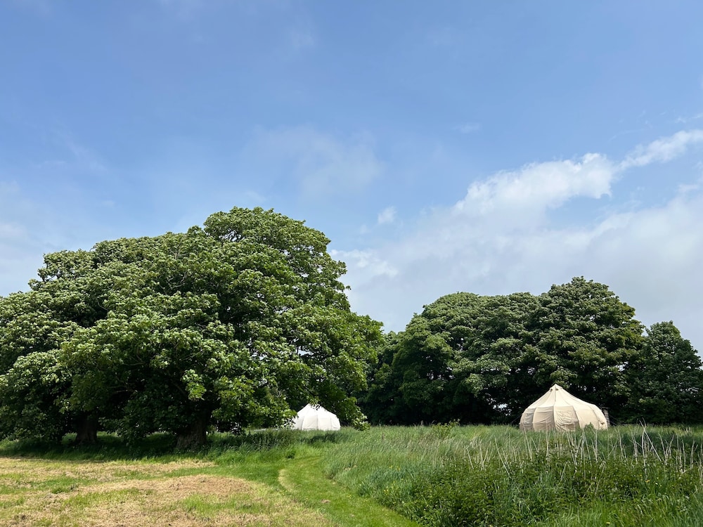 Beautiful Bell Tent Stay