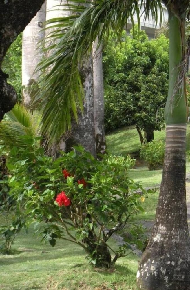 Symes Zee Villa